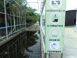 �����׌��r����������g̽ӑ