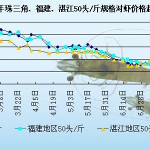 ���r�܈󣺌��r����������  ���ڃ��r�rڅ��ƽ��