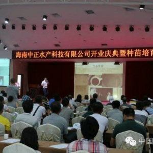 ������1100���H�r��Ͷ�a ���粼�cȫ��չ�_