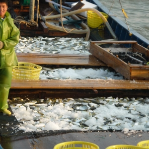 �ϰ����A����Ҫ����Ј��^����A��