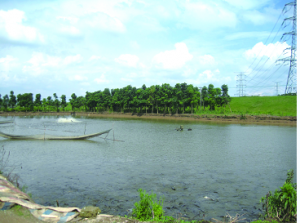 ��������Z���Ͼ���ϸ�Ⱦ�����s���k��������һ��