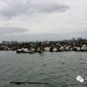 ����ˮ�~���]  �����B����Ͷ�r��