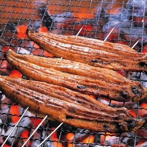 �Ї�����������ý�o���^����