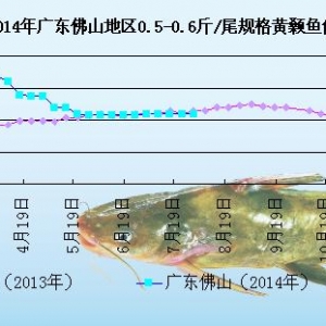 �S��~�܈�(b��o)���V�|�؅^(q��)���~����   �~�r(ji��)��(w��n)������