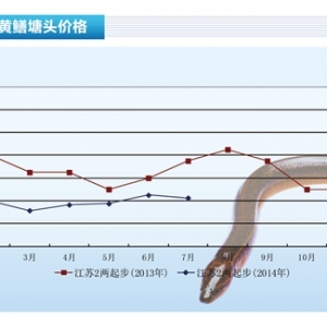 �S�X��7���S�X�r�����в��ӡ�����ˮ�aǰ�ء�2014��8�¿��Ј�څ��