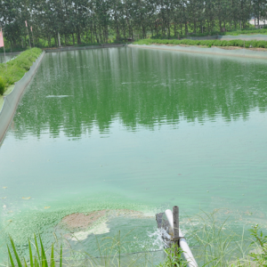 �B(y��ng)ֳˮ�wˮ�|(zh��)�{(di��o)��(ji��)����