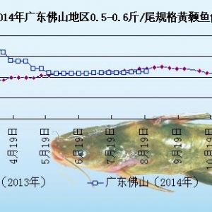 �S��~�܈�(b��o)���R�����﹝(ji��)  �V�|�؅^(q��)�~�r(ji��)�ԝq