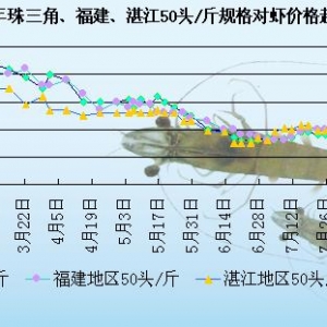 ���r�܈󣺸���؛Դ�^��   �r�r��������