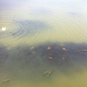 �A�|�؅^��з��з�Bֳģʽ�F���{��