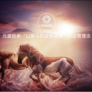 ��ԭ�����죩Ԫʢ�O�����a(ch��n)Ʒ���ƽ⺣���Ј�ή�ҵ�����