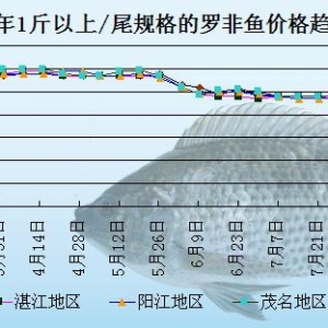 �_���~�܈󣺃r���~��  ���ڃ�(n��i)�����~�rڅ��ƽ��(w��n)