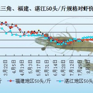 ���r��߅�r�����﹝(ji��)����  �r�r��(w��n)���ߝq