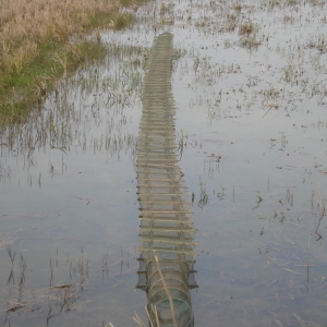 С���r���r���������Bֳ���g