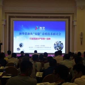 ���A�������S�ǰ������Խ�Q���S���~�����}