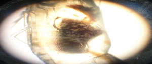 �\Մ�r���C�Ϸ��μ��g