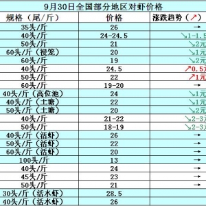 ���r��߅�r���ܲ��r���N����Ӱ�  ���w�r�r�𲨄�