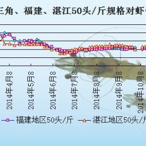 ���r�܈��r�كr��  �����������_ʼ