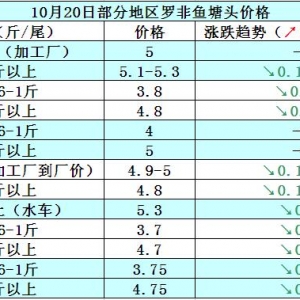 �_���~�܈������^���u�~��  ���w�~�r�p΢���{(di��o)