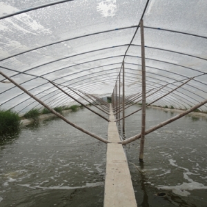 360��չʾ��100%�B(y��ng)���ʵ���|С���B(y��ng)ֳ