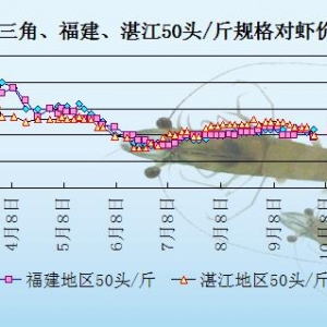 ���r�܈��N������ُ����  �����r�r�R�½�