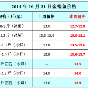 2014��10��31�ՏV����տ�������ϡ�ꖽ����K�~�a�^�r