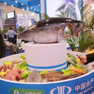 13�������m���r��I(y��)չ���������}