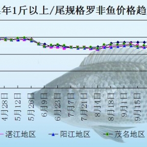 �_���~�܈󣺴�������  �����~�rڅ�q