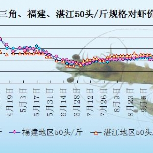 ���r��߅�r���N��������y  �����r�كr��