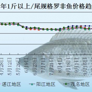 �_���~�܈�����������   �~�r��u�ϝq