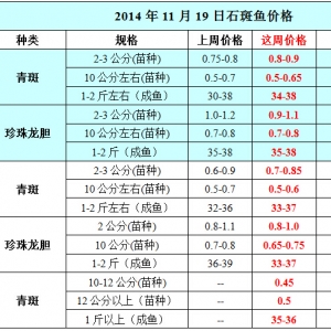 2014��11��19��ʯ���~��߅�r