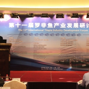 �_���~�a�I�D������ �����J�C�����h