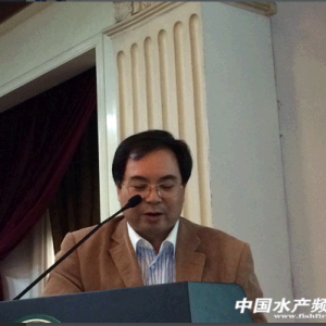 �ν������B(y��ng)ֳ���B(t��i)ϵ�y(t��ng)�Ɂy��HPNS�ĸ���ԭ��