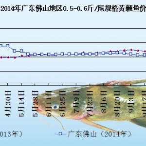 �S��~�܈󣺃r��ƽ��  δ���~�rڅ��