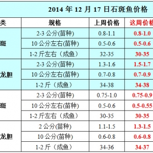 2014��12��17��ʯ���~��߅�r