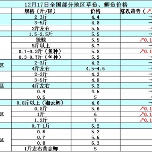 2014��12��17�ղ��ֵ؅^���~���a�~��߅�r