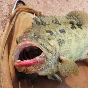 ͨ�^���Ƅ�(d��ng)�︣���p��ʯ���~����