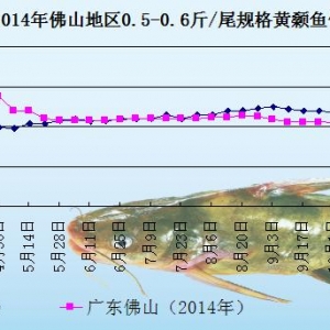 �S��~�r���܈� �V�|�~�r����  ���Ѓr��څ�q