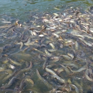 ����_(t��i)�����q���������ɻ��ʵ��Ҳ���(w��n)����