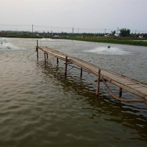 2014���麣�|�~�Bֳ�a�I�������