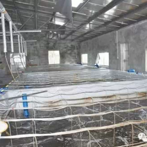 �V�����r�a�I�lչ�{���c����