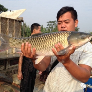 ���x�V�|��ɽ�؅^�~�r���BģʽҪ�c