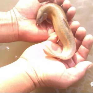 �_�����qҪ�@���B��