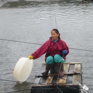 Ů�Ի��S���m���B�r�����ņ᣿