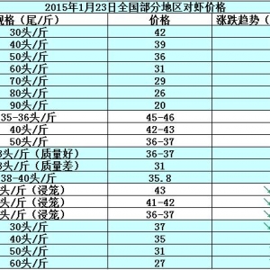 ���r�r���܈��Ј��N����  �r�rڅ���»�