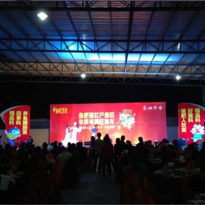 ������Ͻ��T��˾2015���