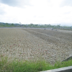 ����ӡ�������׌��r�Bֳģʽ