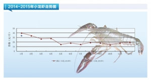 С���r���r���ϸ������^�󡪡���ˮ�a(ch��n)ǰ�ء�2015��2�¿��Ј�څ��