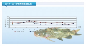 �S��~�����ڃ��~�r�q�����g���󡪡���ˮ�aǰ�ء�2015��2�¿��Ј�څ��