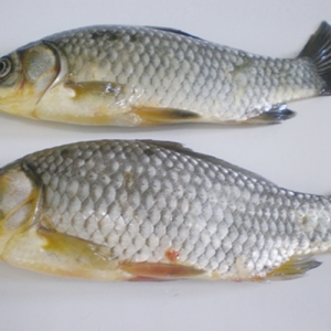 һ�������y�a�c�ײ����\�η���