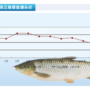 ���~���̓r�ѳɡ����B��������ˮ�aǰ�ء�2015��3�¿��Ј�څ��